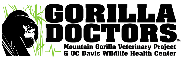 Gorilla Doctors