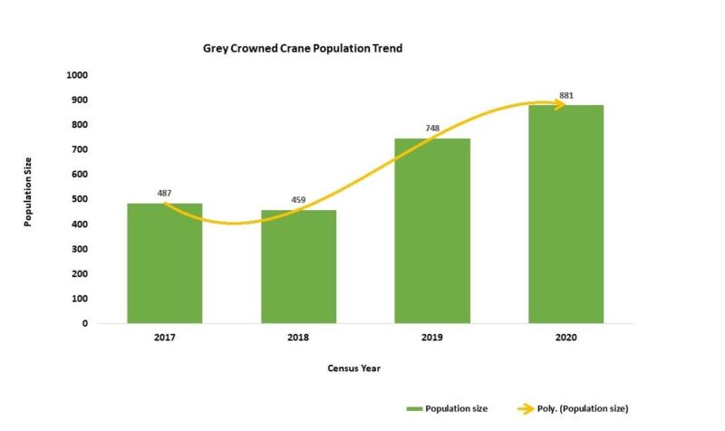 Crane Population Graph